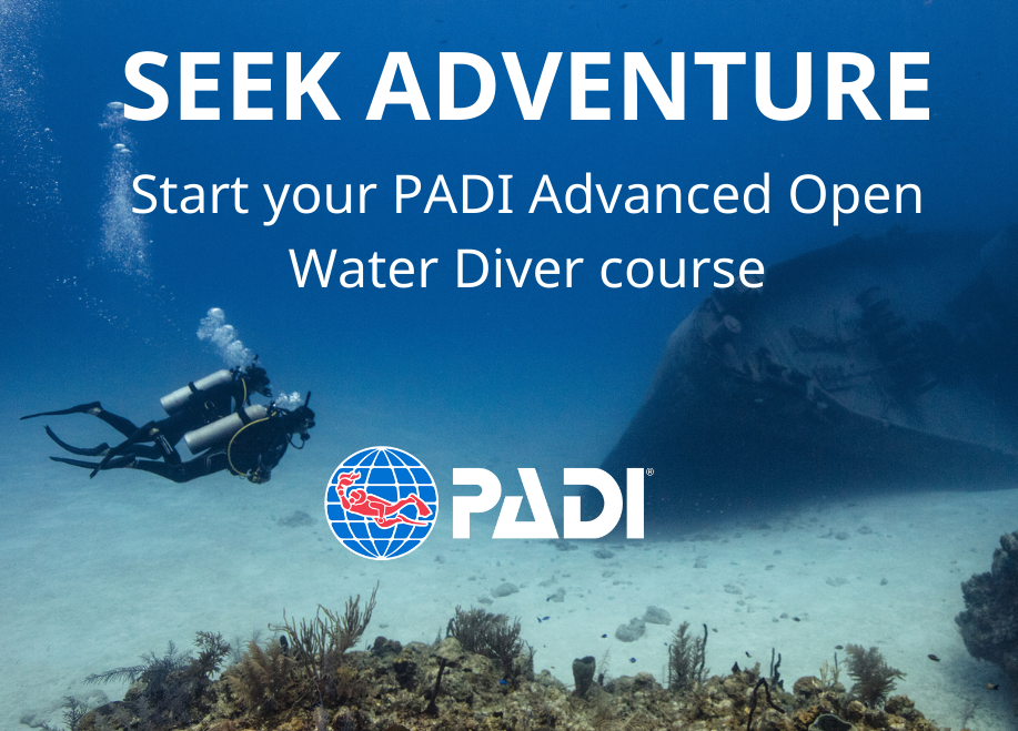 08-07-25-advanced-open-water-bellevue-underwater-sports